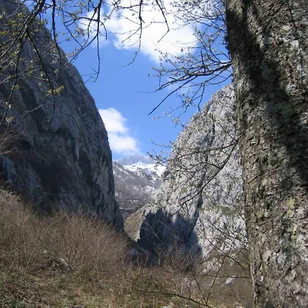 La Tanda Taranes